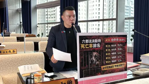 台中收容犬貓死亡率六都最高？江和樹爆：民眾不捨浪浪送死