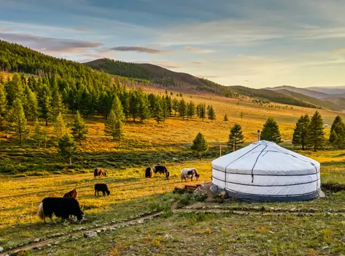 ▲華府旅遊首推「蒙古國烏蘭巴托6日」，旅展優惠價69,999元，安排入住蒙古包並體驗騎馬、騎駱駝，深入感受遊牧文化。（圖／業者提供）