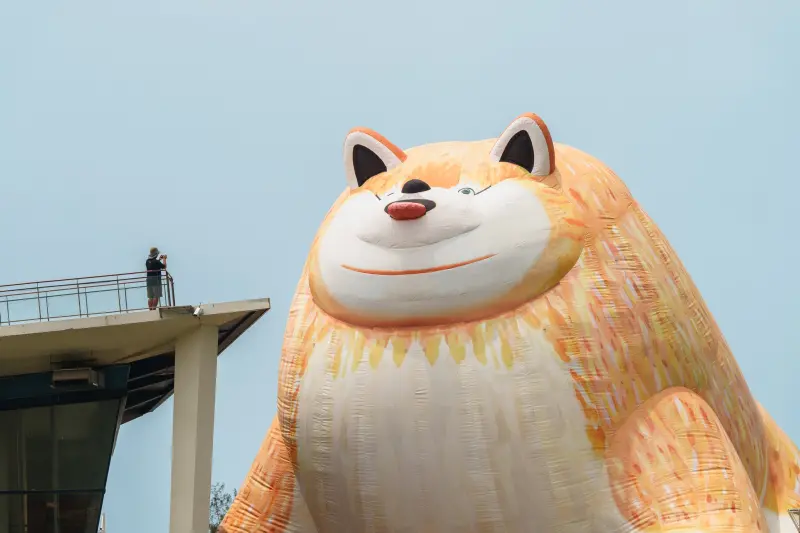 屏東看海美術館有新展覽！巨型博美犬裝置先曝光　日期、交通一覽