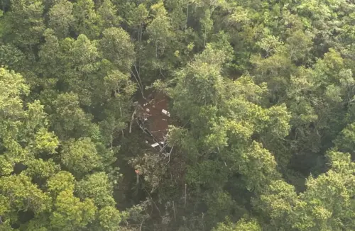 起飛5分鐘就失聯！印尼私人直升機墜密林　8人全罹難