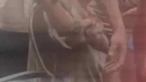 觀光亂象再起？芭達雅外籍男虐猴畫面曝光引公憤　疑逼抽煙喝酒