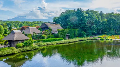 用沖繩價玩東京！航典母親月帶媽媽同行享限定優惠