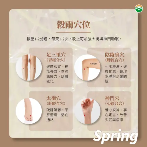 ▲穀雨保養4穴位。（圖／馬光中醫提供）