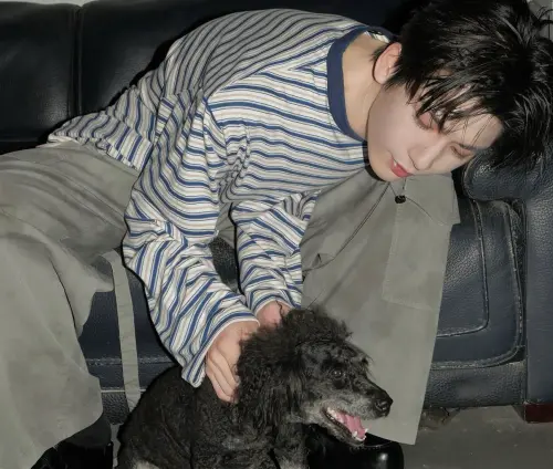 張凌赫po狗狗照　粉絲揪：一起遛狗？釣出本人親回一句話掀暴動