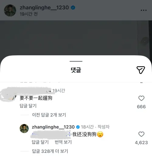 ▲張凌赫粉絲看到帥照，留言邀請他一起遛狗，本尊竟還現身回覆。（圖／IG@zhanglinghe__1230）