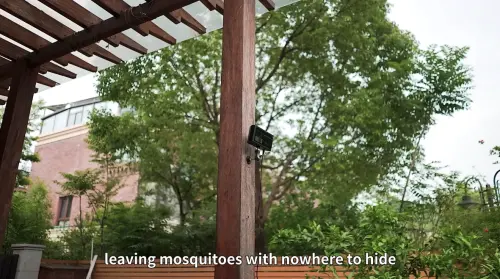 ▲（圖／翻攝自YT「Photon matrix」）