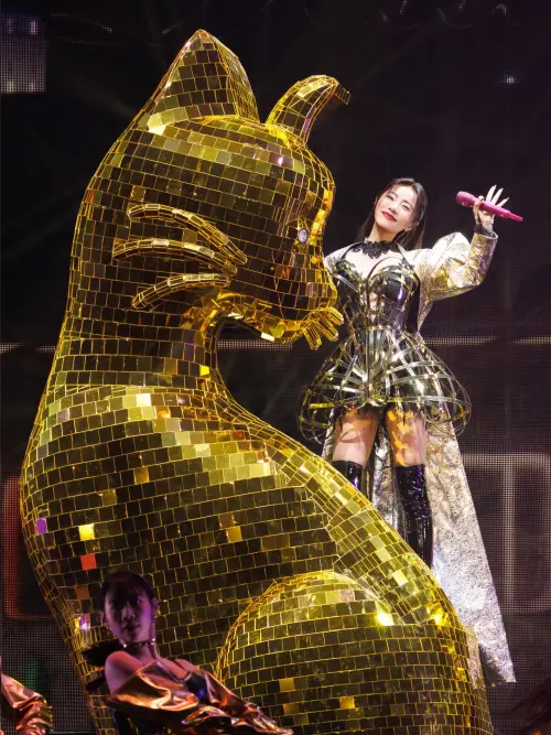 ▲丁噹當年被淘汰的理由是「唱得太好不適合成團」。（圖／翻攝自丁噹臉書）