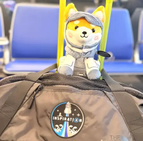 ▲SpaceX後來也販售Asteroid的玩偶，麗芙也將所有收益通通捐出。（圖／X@alx）