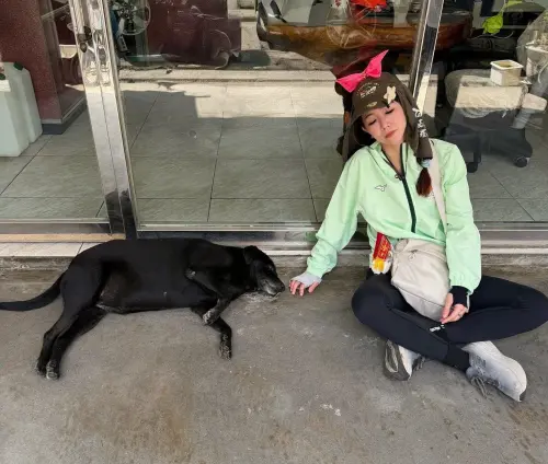 ▲謝忻把臂章折成蝴蝶結別在頭上惹議。（圖／謝忻臉書）