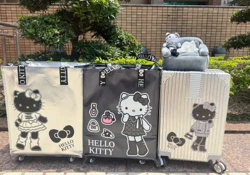 ▲限量滑輪購物車，售價1299元；21吋線條防撞行李箱，售價1699元；限量造型面紙套，售價699元。（圖／記者鍾怡婷攝）