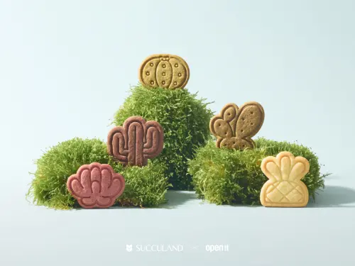 ▲5.多肉植物造型餅乾（圖／品牌提供）