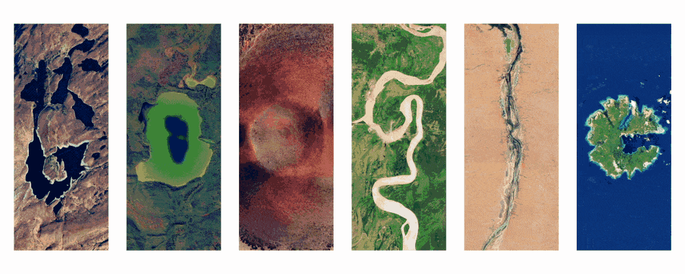 4/22世界地球日Google首頁超美！「地球日測驗」看你是蜜蜂還烏賊