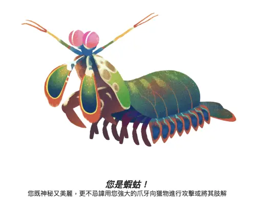 ▲地球日測驗透過簡單的五道題目看看你內心的動物魂，看看你會是蝦蛄、蜜罐還是其他的生物。（圖／翻攝官網）