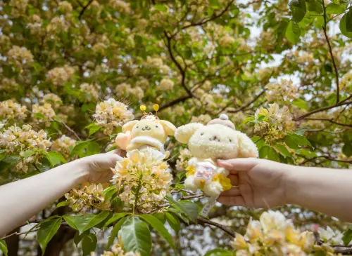 ▲加羅林魚木甜而不膩的「奶油黃」花朵，在春綠翠芽的襯托下綻陽熠熠，更恰巧撞色。（圖／台電提供）