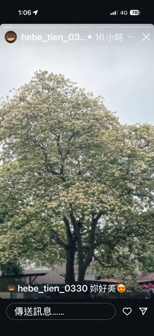 ▲田馥甄近期才在IG限動上打卡台電魚木，大力稱讚「妳好美」。（圖／截取至田馥甄IG）