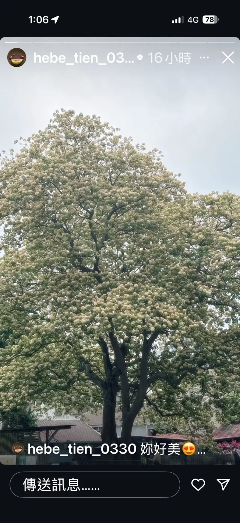    ▲田馥甄近期才在IG限動上打卡台電魚木，大力稱讚「妳好美」。（圖／截取至田馥甄IG）  