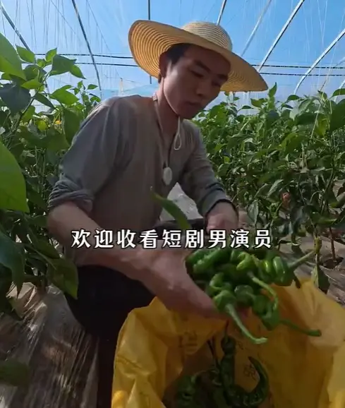 ▲張小磊因沒戲拍，選擇回到老家種田。（圖／微博@財凌寶）