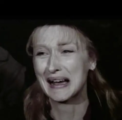 ▲梅莉史翠普的悲情表演曾讓她獲得獎項肯定，觀眾很容易被她逼出眼淚，卻沒人覺得她可以很好笑。（圖／摘自IMDb）