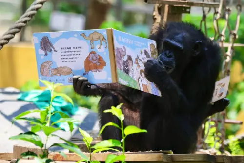 ▲（圖／翻攝自壽山動物園臉書粉專）