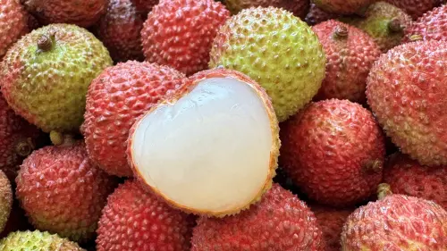 錯過等一年！老張果物霸王級玉荷包科技保鮮搶高端市場
