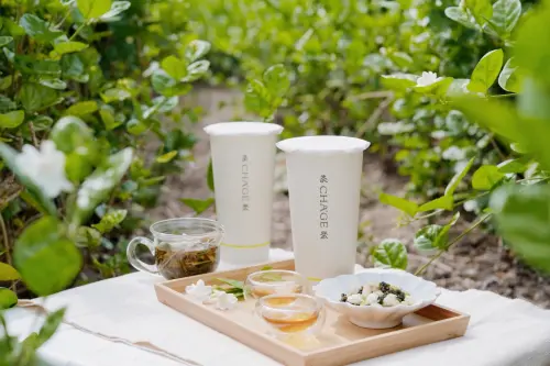 ▲北歐森林精靈 Moomin「嚕嚕米」在社群引發高度關注，其白胖療癒形象與茶聚「純粹、安心」的品牌初心完美契合。（圖／品牌提供）