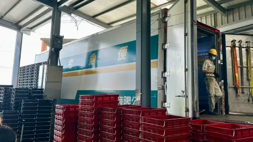 ▲老張玉荷包與物流達成戰略合作，於包裝廠內設立臨時站所，果實完成包裝後，零時差直接送上冷鏈物流車，確保從產地到消費者手中全程維持低溫不斷鏈。（圖／翻攝畫面）