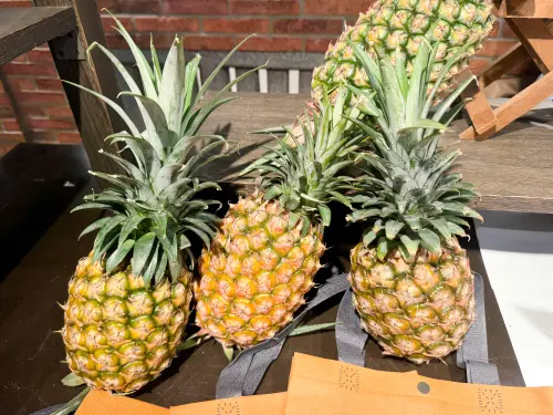 ▲屏東為台灣重要鳳梨產區之一，金鑽鳳梨以甜度高、纖維細、品質穩定著稱。（圖／遠百提供）