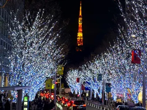 飛日本變貴！日籍航空機票調漲「1家4口多萬元」 達人教省錢策略