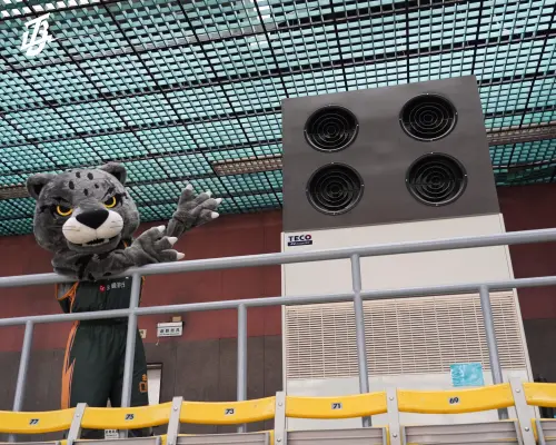 桃園巨蛋3.4億翻新開箱！這1點差超多　雲豹執行長：把蚊子都凍死