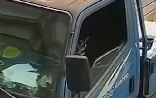 台中小貨車撞路邊轎車！駕駛座竟是「一隻吉娃娃」　背鍋真相曝光
