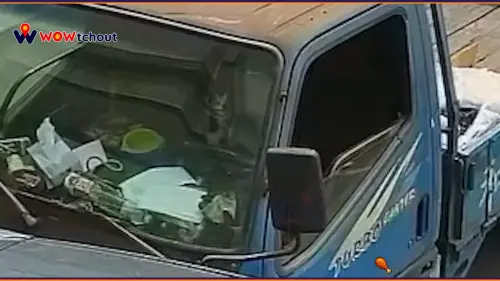 ▲車禍發生之後，吉娃娃探完頭看完狀況之後，就立刻跑回副駕駛位置。（圖／WoWtchout）