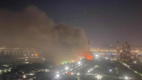 蘆洲兩棲爬蟲養殖場火警！鐵皮屋凌晨全面燃燒　牠們全葬身火窟