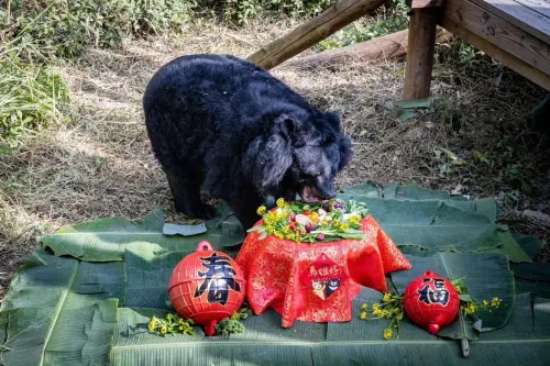 ▲（圖／翻攝自Shou Shan Zoo 壽山動物園」臉書粉專）