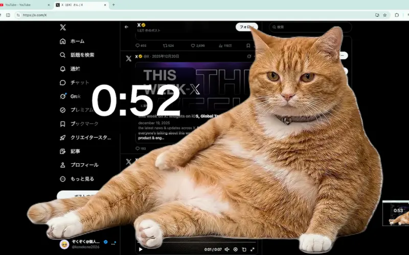 ▲Chrome 瀏覽器擴充功能「Cat Gatekeeper」，只要使用者在 Facebook、YouTube 等平台瀏覽超過預設時間，一隻超肥的橘貓擋住螢幕。（圖／Cat Gatekeeper）