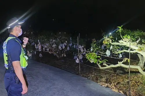 ▲警方深入芒果產區巡邏守望，提升見警率，嚇阻竊嫌覬覦。（圖／記者莊全成翻攝）
