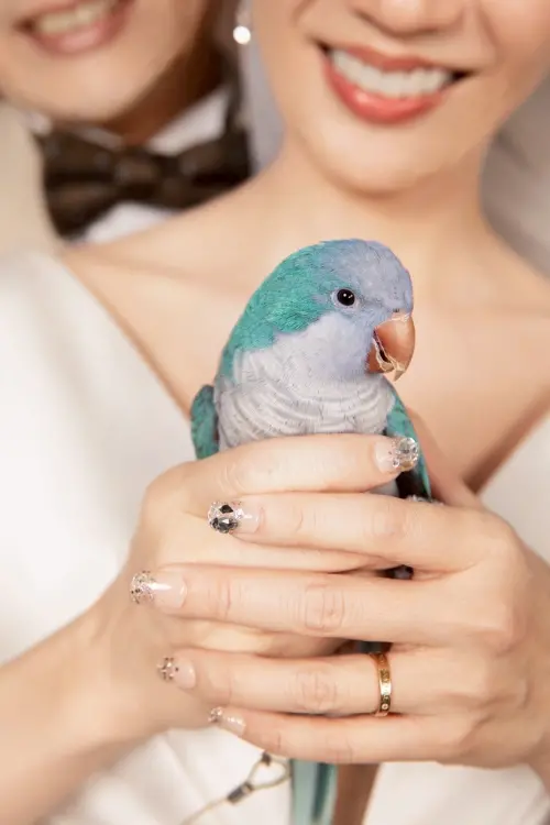 ▲樂樂不僅在戲中擔任重要角色，戲外更成為劇組的「親善大使」，萌翻眾多演員。（圖／民視提供）