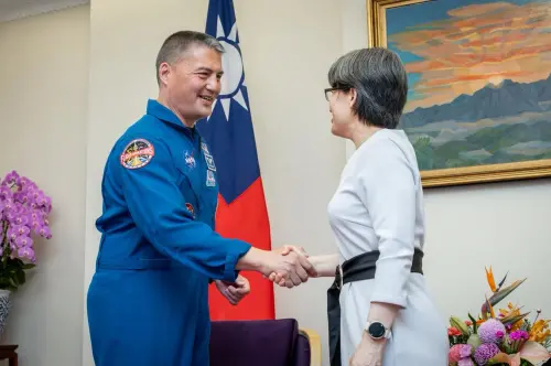 Lindgren shakes hands with Vice President Hsiao Bi-khim. (AIT)