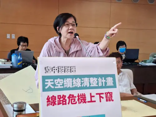 ▲議員張芬郁指出，纜線不僅影響市容，更潛藏火災與淹水隱憂，要求市府跨局處推動清整專案(圖／柳榮俊攝2026.4.30)