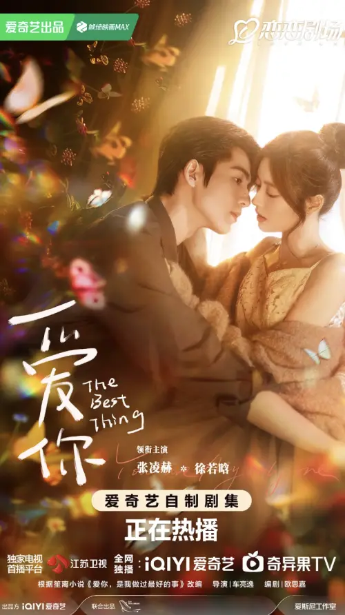 ▲張凌赫（左）在《愛你》飾演溫柔的中醫師，他的醫囑和叮嚀，讓人淪陷。（圖／翻攝自豆瓣）
