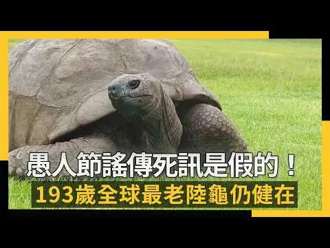 愚人節謠傳死訊是假的！193歲全球最老陸龜仍健在｜NOWNEWS #cc字幕