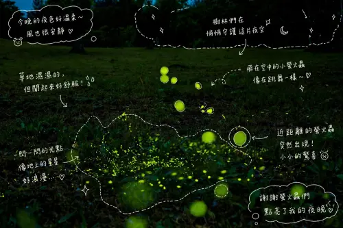 ▲「山豬湖生態園區」，擁有豐富的植物、鳥類與昆蟲生態系，4 月份甚至還能看見大量螢火蟲現身。（圖／桃園水務局）