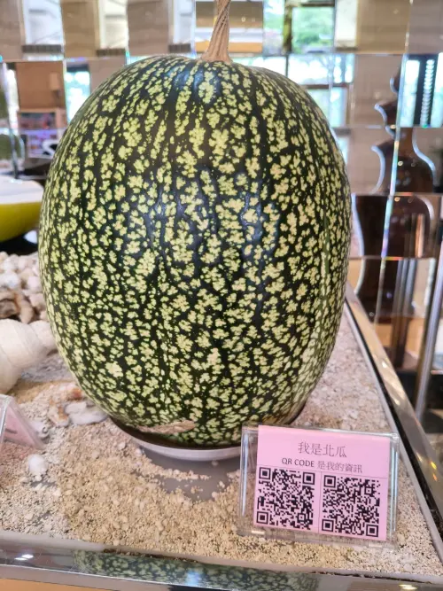 ▲有民眾在飯店桌面上發現一顆巨型北瓜，引來內行解答是觀賞用途。（圖／路上觀察學院臉書）