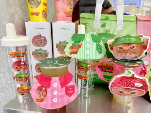 ▲有著吉荔喵、迷之喵大頭的「布偶飲料袋」，及「寵物圍兜兜」好可愛。（圖／記者蕭涵云攝）