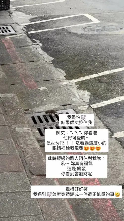 ▲雙北地區近期鼠患頻傳，張菲的二媳婦翁馨儀也在街上遇到老鼠。（圖／翻攝自翁馨儀IG@hsinyiwong）