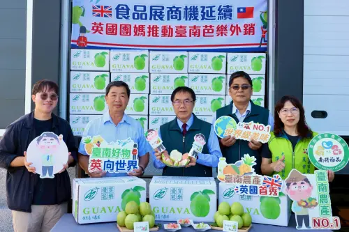 英國台商團媽揪團購　黃偉哲樂見首批台南芭樂空運英國