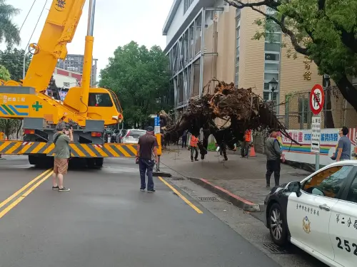 ▲市府等單位合作將倒塌的老樹清除、回復道路通暢。（圖／台中市警局提供，2026.05.06）