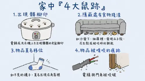 ▲家中如果出現四種跡象，可能就是家中有老鼠。（圖／ChatGPT生成、周淑萍監製）