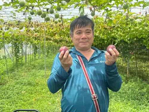 ▲栽種藍星百香果的美濃農友吳成璽。（圖／記者鍾怡婷攝）