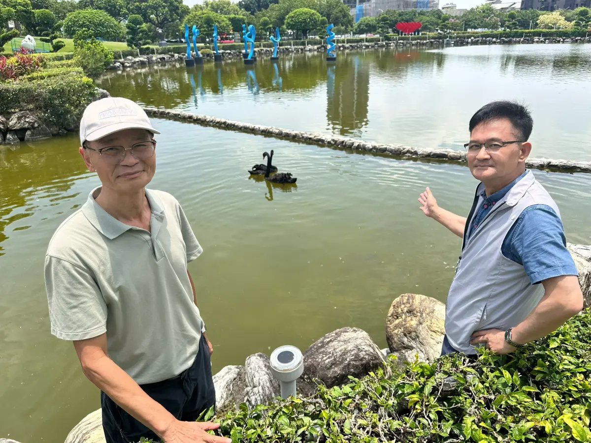 ▲市議員參選人張耀中（右）與教授張清濠（左）在豐樂雕塑公園現場會勘，池塘中僅見的兩隻黑天鵝(圖／張耀中提供2026.5.8)
