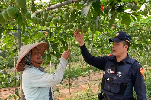 ▲內埔警分局啟動護農專案，加強檳榔及高經濟作物產區巡邏勤務。（圖／記者莊全成翻攝）